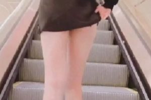 韩国女犬《金志昤》最新户外