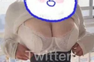 twitter极品巨R《波多野结妮》最新户外视频