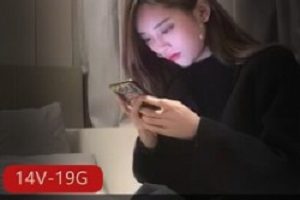 《小宝寻花》250G全视频资源分集8