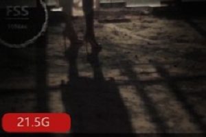 《FSS冯珊珊》蜂鸟箱任务公园任务系列合集