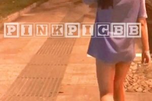 Twitter户外博主《萍萍pinkpigbb》荒野求生合集