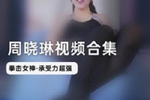 拳击女王《周晓琳》拳击1到80集