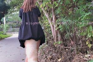 蜜糖网超嫩萌妹《小鹿酱》精彩资源合集