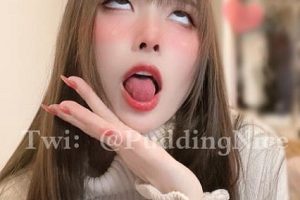 动漫博主coser《我是一只啾》布丁da fa资源合集