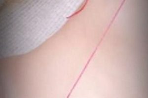 Twitter另类猎奇教育女神《MyoVia》