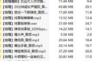 b站音频主播《不要吃咖喱》ASMR舰长包付费音频