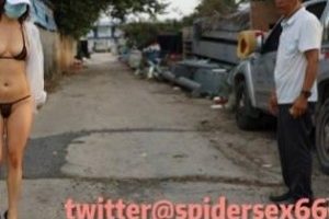 Twitter大柰女神《NTRren qispidersex》极致打野