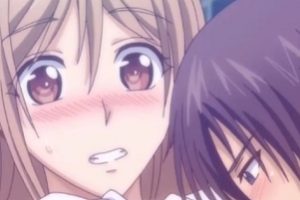 彗星社出品《若英的爱情故事》12集自压视频，内嵌中文，去每集片头片尾，53min