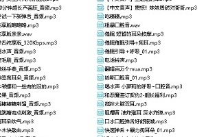 声控主播《萌宝精灵舰长》绅士助眠、口腔音珍藏音频合集