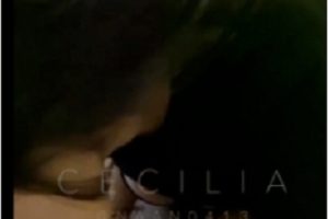 Twitter极品身材的外围美女（cecilia张），为了生计选择了跟从土豪爸爸的奢靡生活被曝光 [1V+285M]