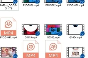 限时特惠FSOG001粉情人16部合集16v13.8g百度盘