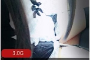 猫奴丫萌妹私房视频合集122部86G优质珍藏