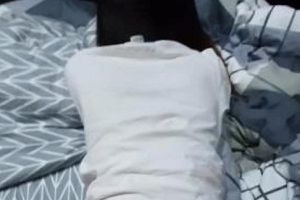 幼师蜜桃臀健身视频91合集1.6G珍藏版